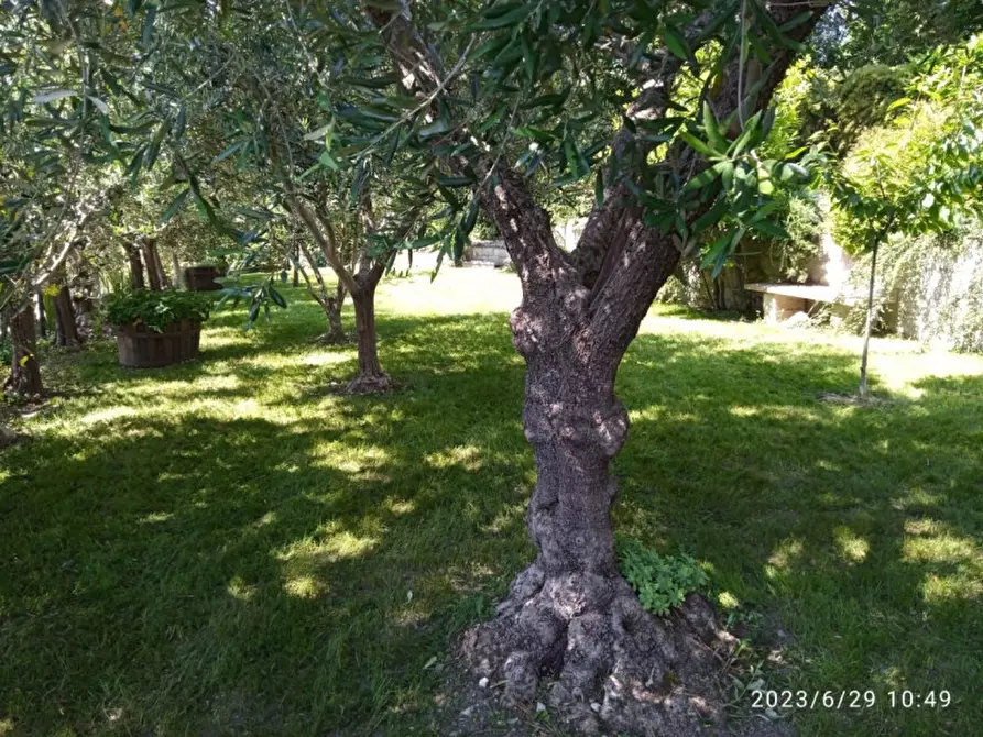 Immagine 7 di Casa indipendente in vendita  in Via comillo benso conte di cavour 21 pu a Piandimeleto