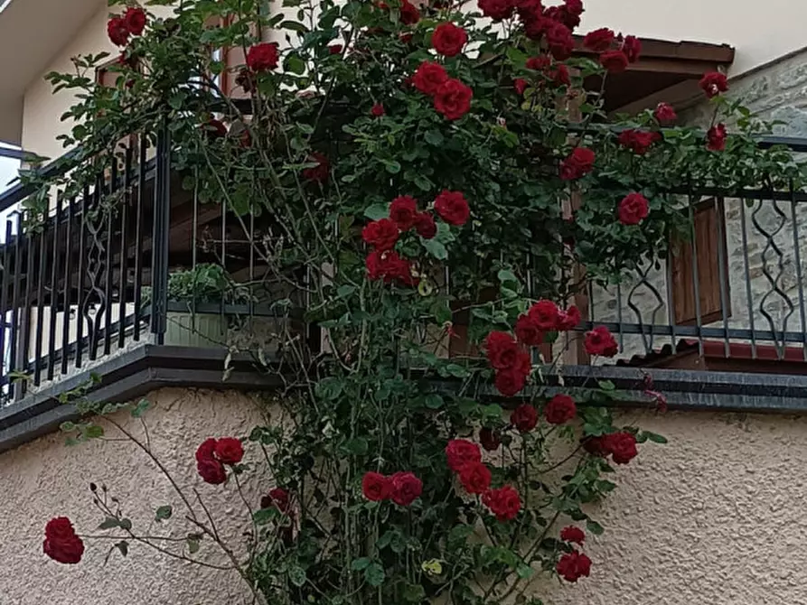 Immagine 12 di Casa indipendente in vendita  in Via comillo benso conte di cavour 21 pu a Piandimeleto