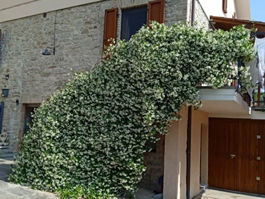 Immagine 13 di Casa indipendente in vendita  in Via comillo benso conte di cavour 21 pu a Piandimeleto