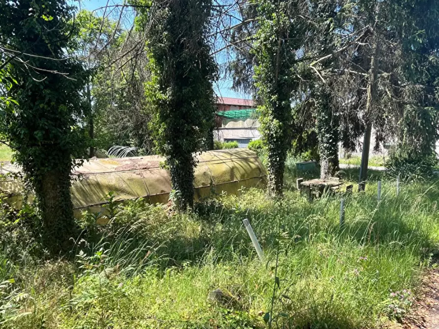 Immagine 36 di Casa indipendente in vendita  in Strada Raviola, 2 a Bairo