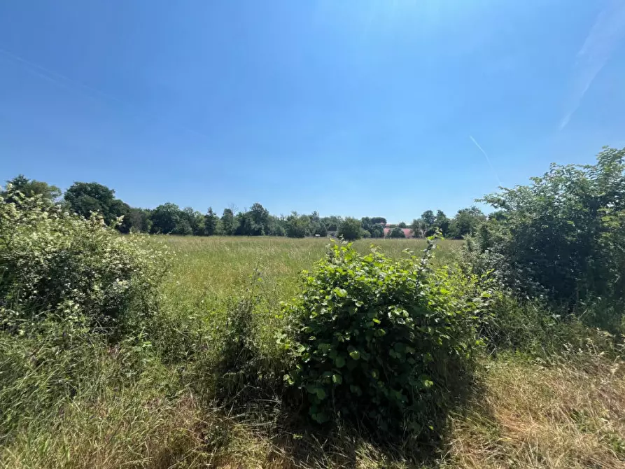 Immagine 37 di Casa indipendente in vendita  in Strada Raviola, 2 a Bairo