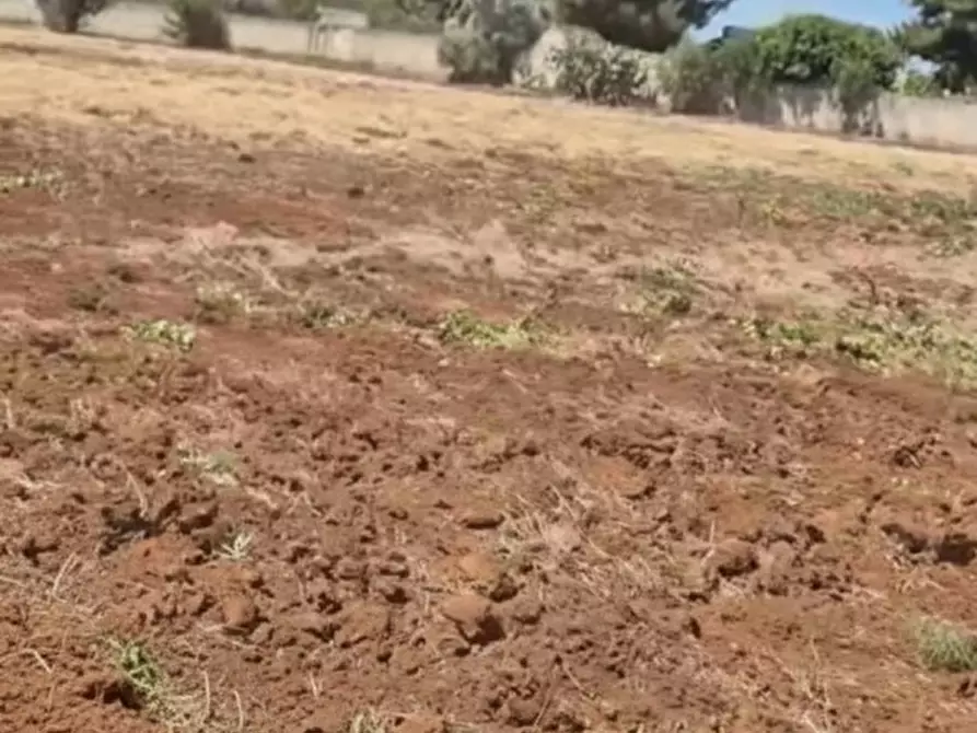 Immagine 1 di Terreno in vendita  in Contrada Belloluogo a Brindisi