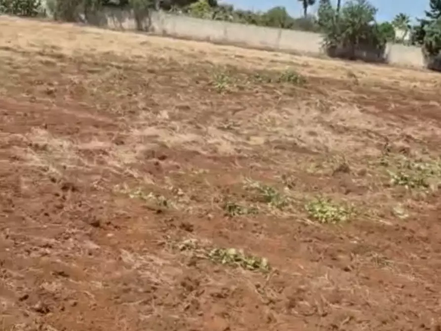 Immagine 2 di Terreno in vendita  in Contrada Belloluogo a Brindisi