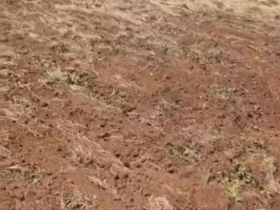 Immagine 3 di Terreno in vendita  in Contrada Belloluogo a Brindisi