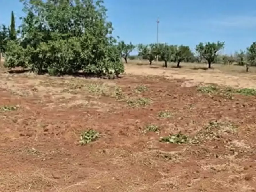 Immagine 4 di Terreno in vendita  in Contrada Belloluogo a Brindisi
