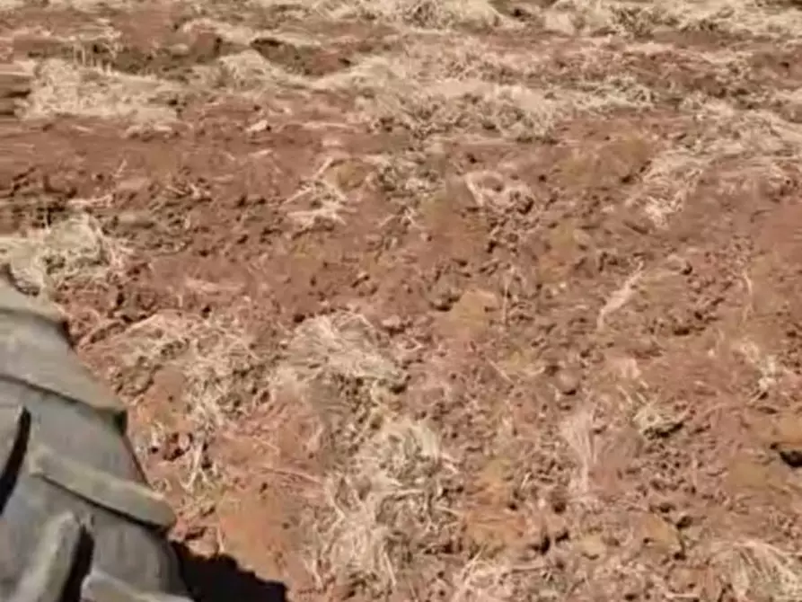 Immagine 5 di Terreno in vendita  in Contrada Belloluogo a Brindisi