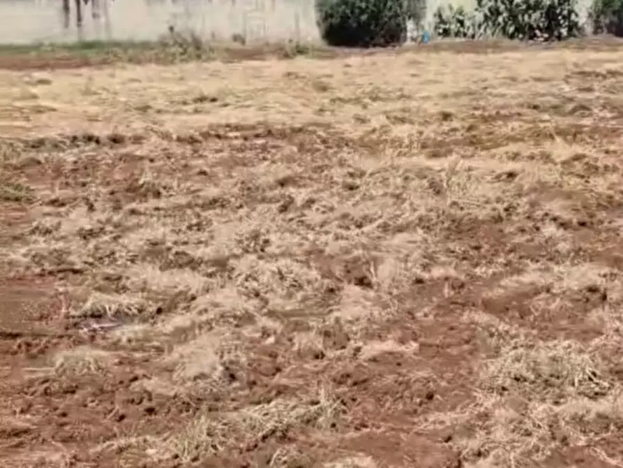 Immagine 6 di Terreno in vendita  in Contrada Belloluogo a Brindisi