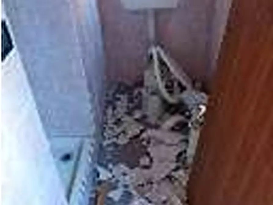Immagine 4 di Appartamento in vendita  in Via Antonio Pavan  4 a Treviso
