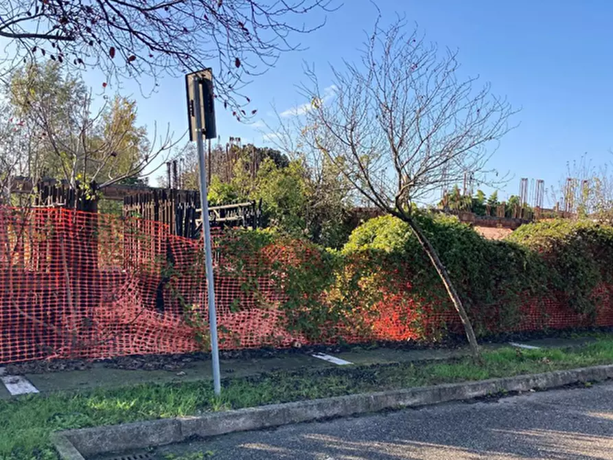 Immagine 2 di Terreno in vendita  in VIA GIANFRANCO MIGLIO a Oppeano