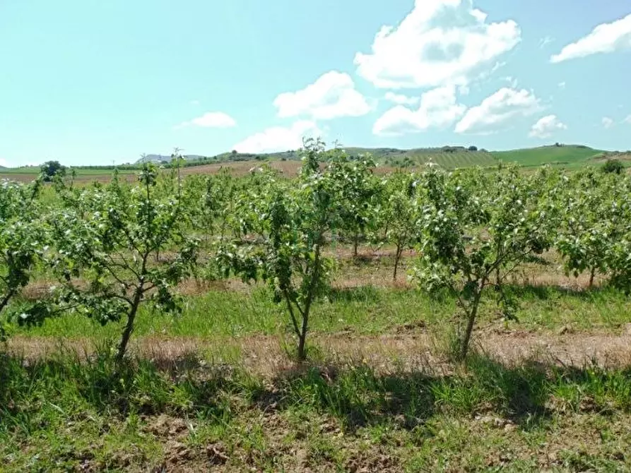 Immagine 11 di Terreno in vendita  in Via Buggia a Belfiore