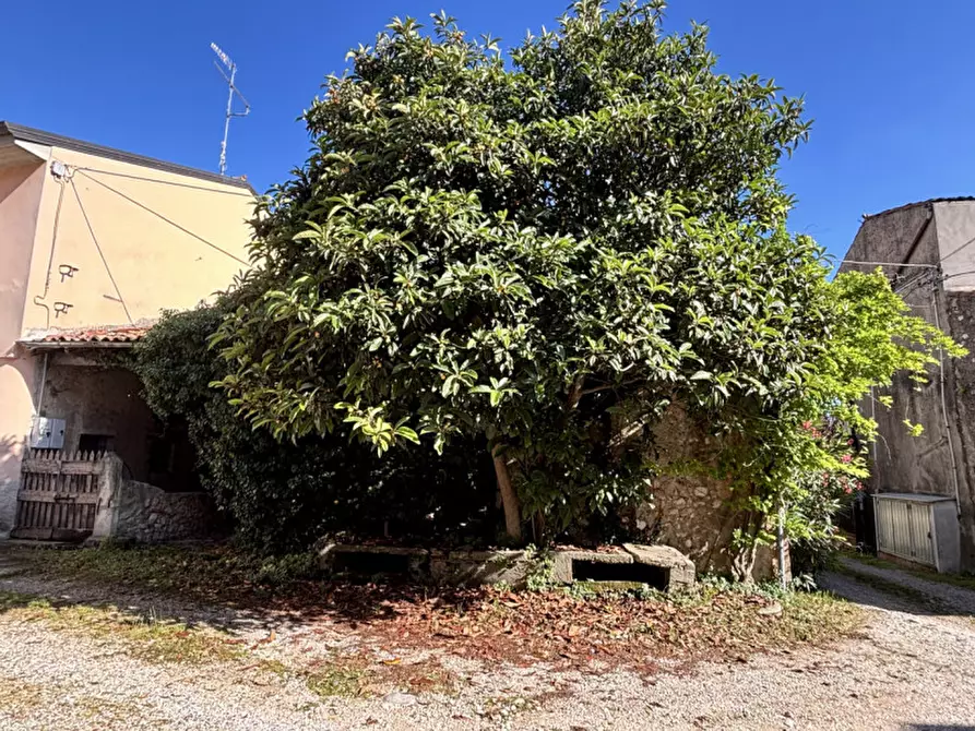 Immagine 13 di Rustico / casale in vendita  in Via Della Libertà a Tregnago
