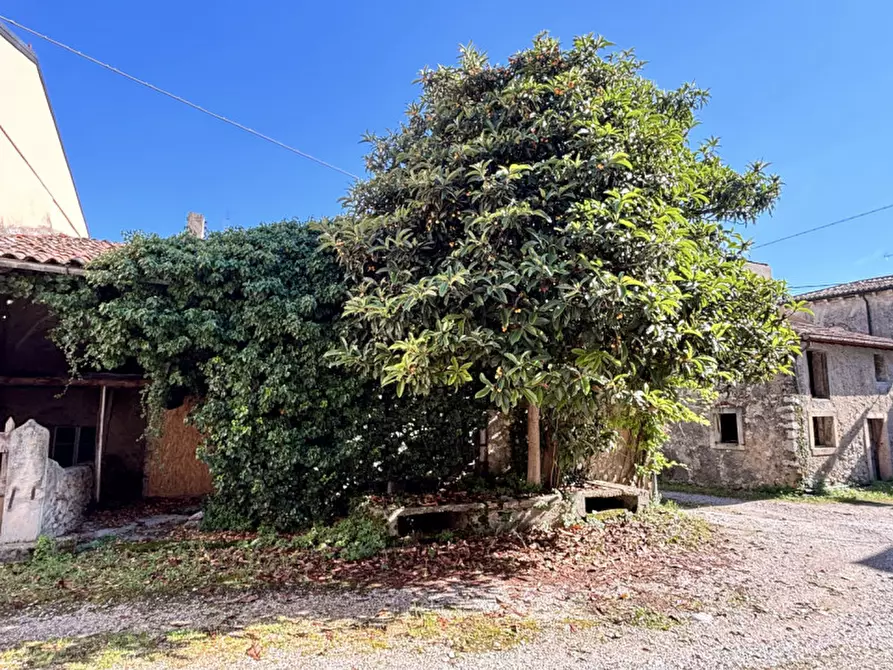 Immagine 14 di Rustico / casale in vendita  in Via Della Libertà a Tregnago