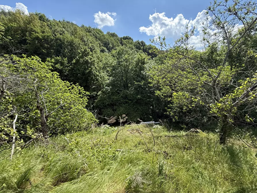 Immagine 4 di Rustico / casale in vendita  a Badia Calavena