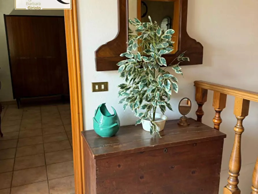 Immagine 12 di Casa indipendente in vendita  a Masi