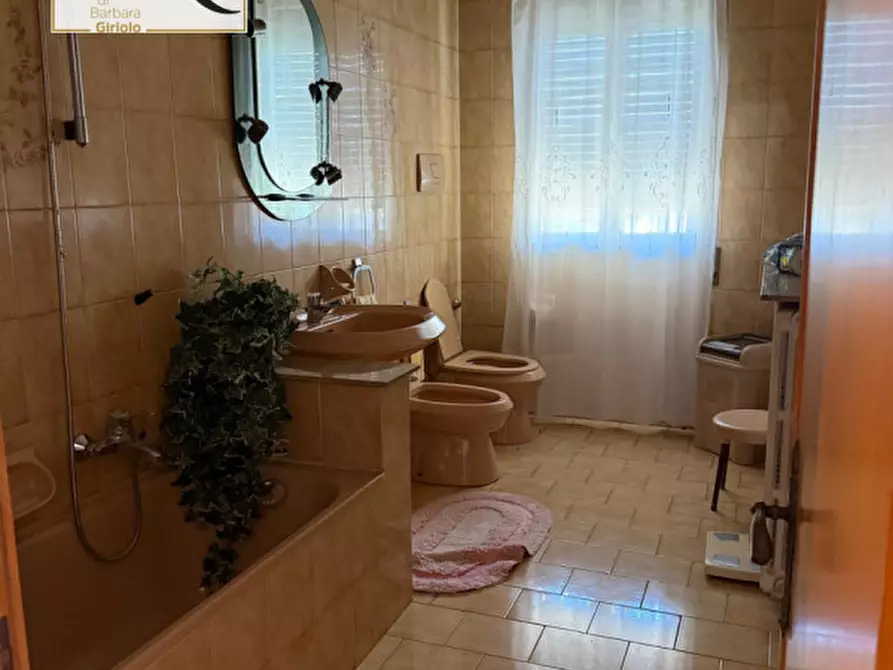 Immagine 13 di Casa indipendente in vendita  a Masi