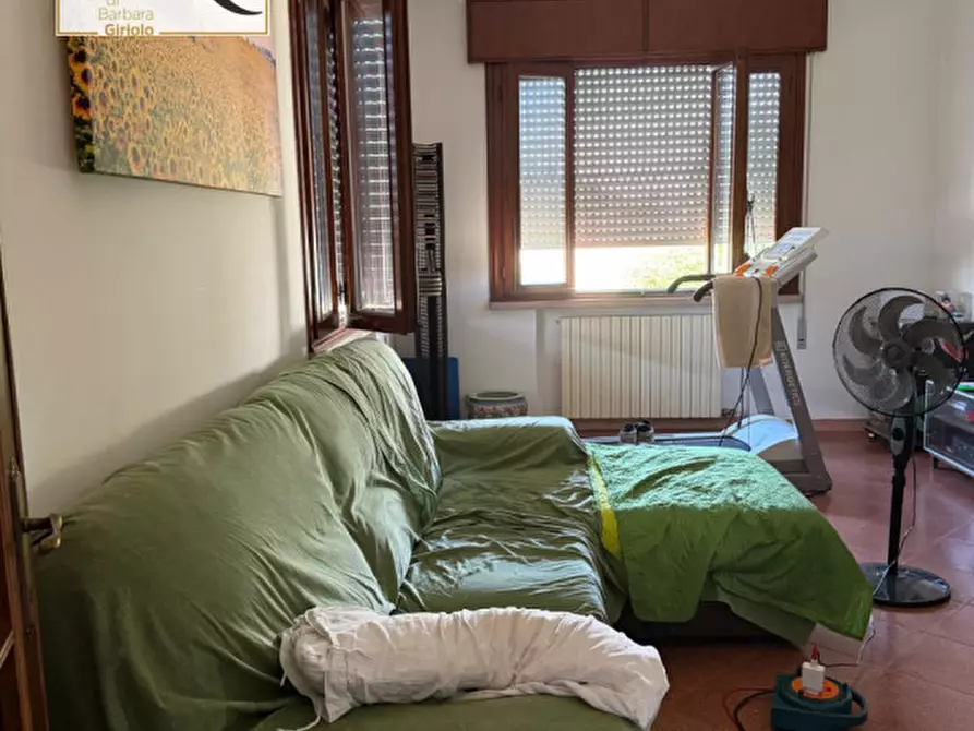 Immagine 18 di Casa indipendente in vendita  a Masi