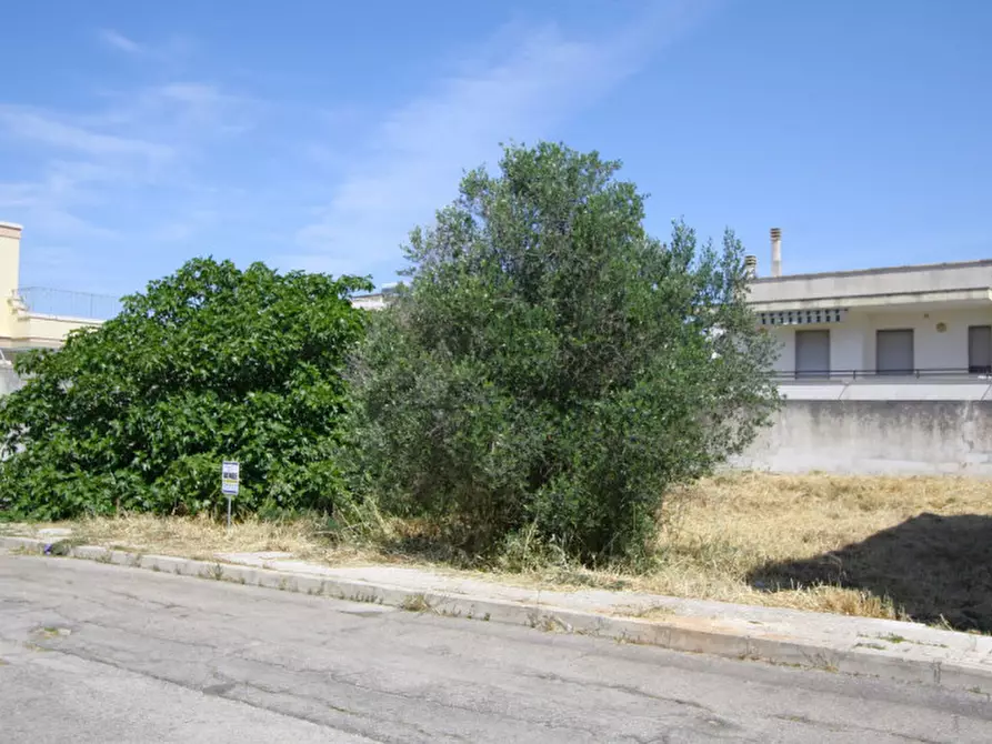 Immagine 2 di Terreno in vendita  in Via Giorgio La Pira a Parabita