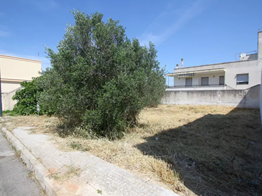 Immagine 3 di Terreno in vendita  in Via Giorgio La Pira a Parabita