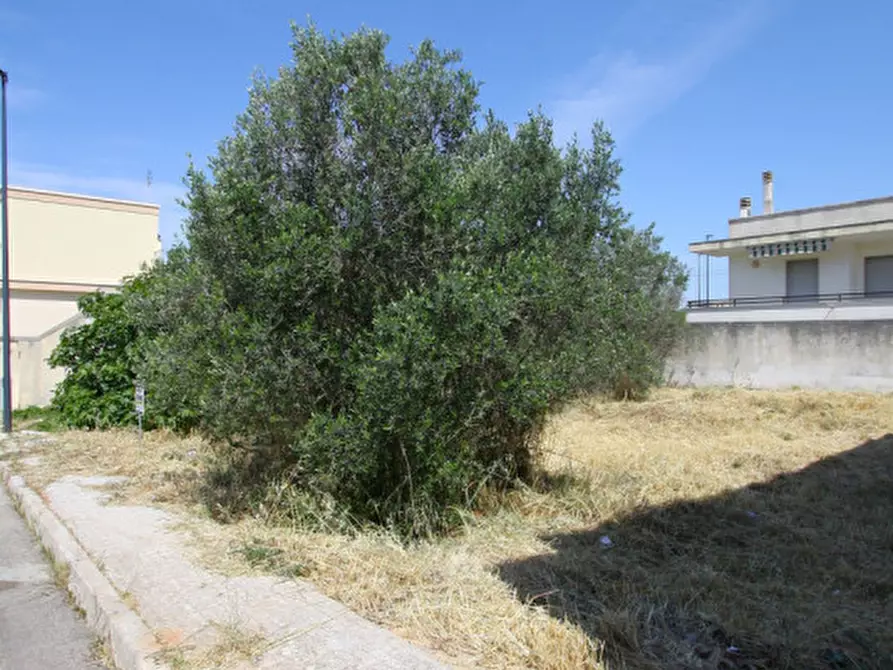 Immagine 4 di Terreno in vendita  in Via Giorgio La Pira a Parabita