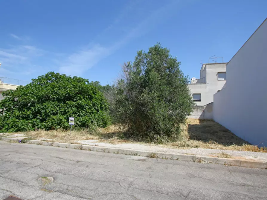 Immagine 5 di Terreno in vendita  in Via Giorgio La Pira a Parabita