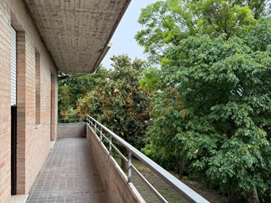 Immagine 23 di Casa bifamiliare in vendita  in Via Cucca a Montegaldella
