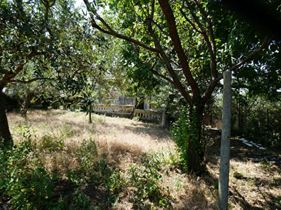 Immagine 12 di Casa indipendente in vendita  a Soave