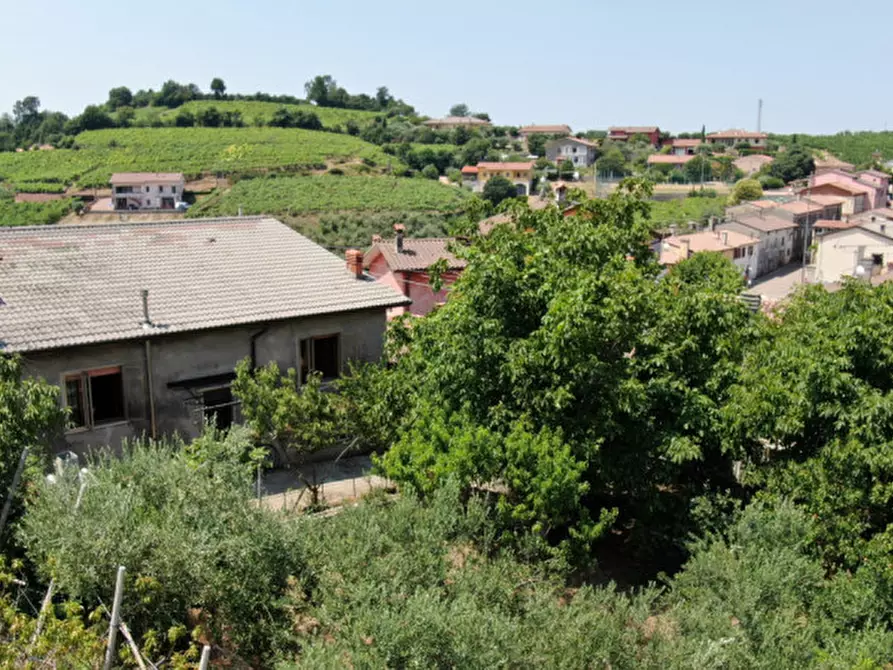 Immagine 13 di Casa indipendente in vendita  a Soave