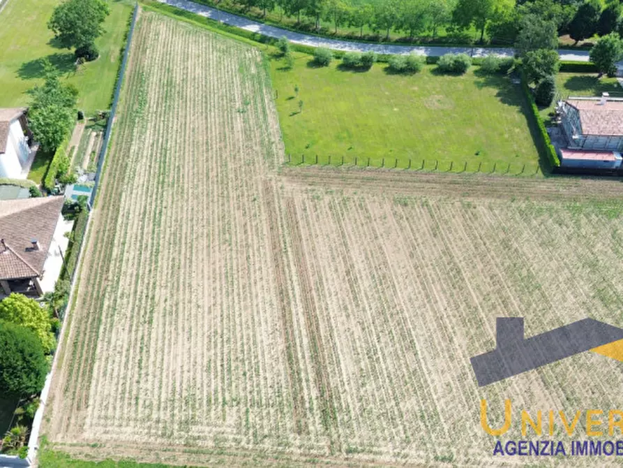 Immagine 7 di Terreno in vendita  a Loreggia