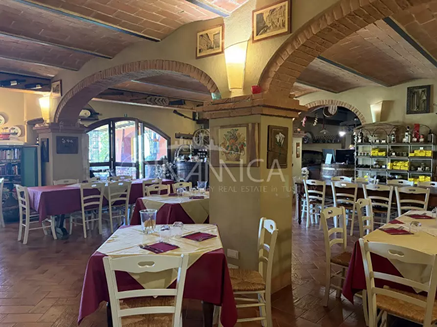 Immagine 11 di Hotel in vendita  a Crespina Lorenzana