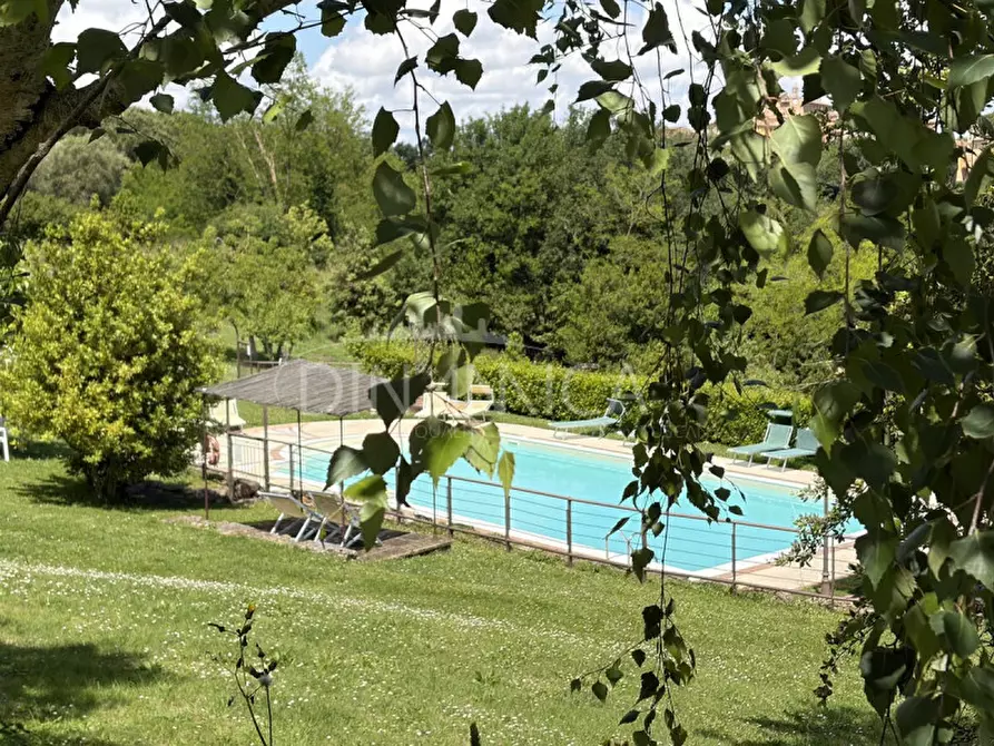 Immagine 51 di Hotel in vendita  a Crespina Lorenzana