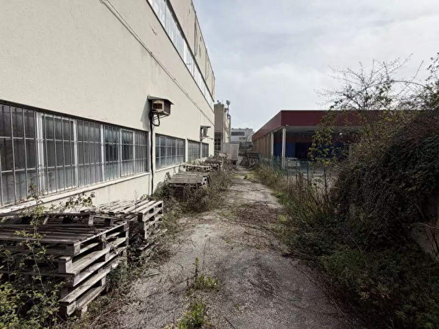 Immagine 11 di Capannone industriale in vendita  in VIA TOMBESI a Ancona