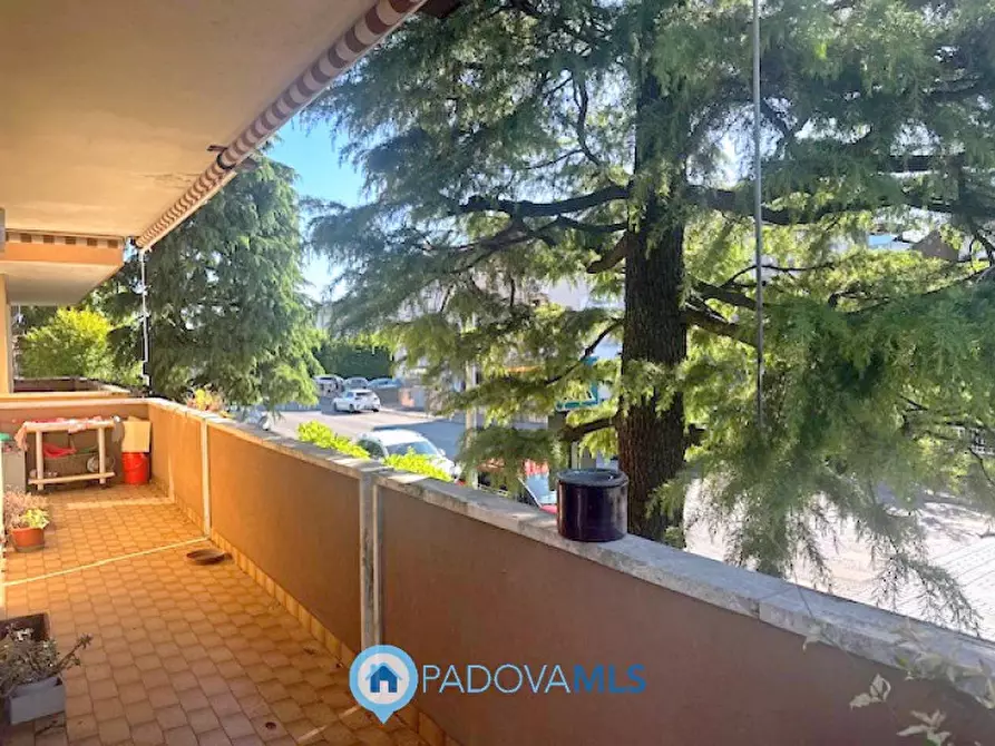 Immagine 24 di Appartamento in vendita  in Via Emilia 36 a Rubano