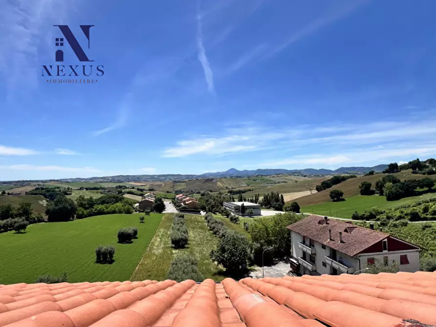 Immagine 19 di Appartamento in vendita  a Castelleone Di Suasa
