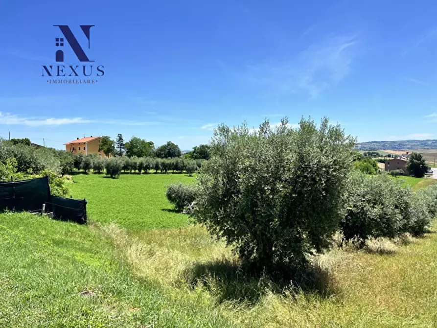 Immagine 22 di Appartamento in vendita  a Castelleone Di Suasa