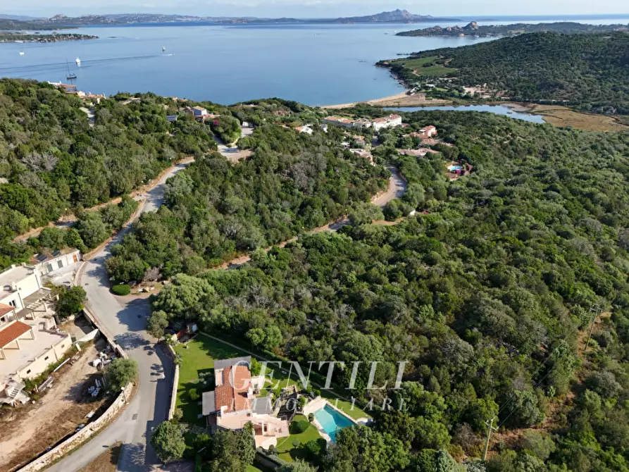 Immagine 36 di Villa in vendita  in Via Cala dei Ginepri a Arzachena