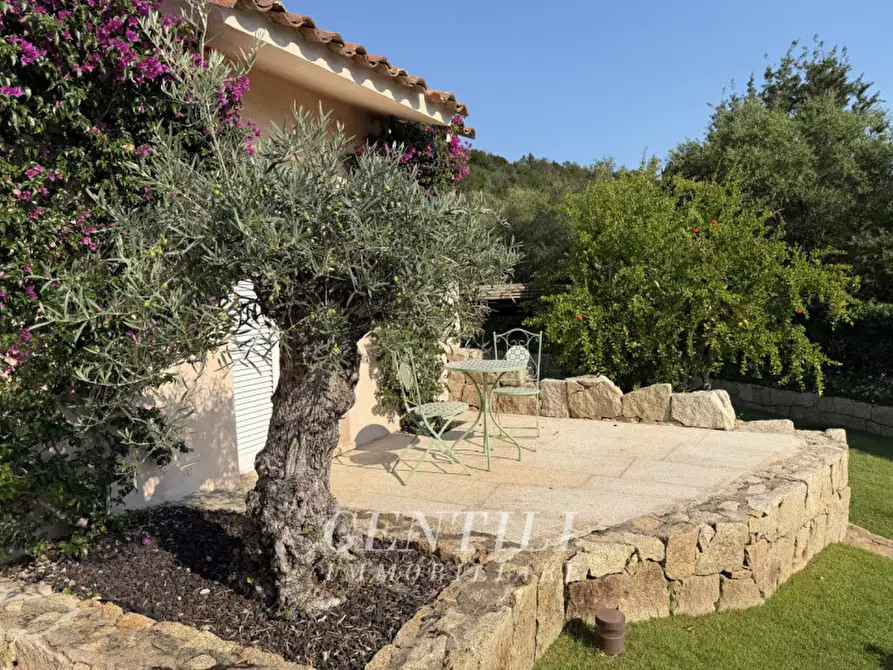 Immagine 40 di Villa in vendita  in Via Cala dei Ginepri a Arzachena
