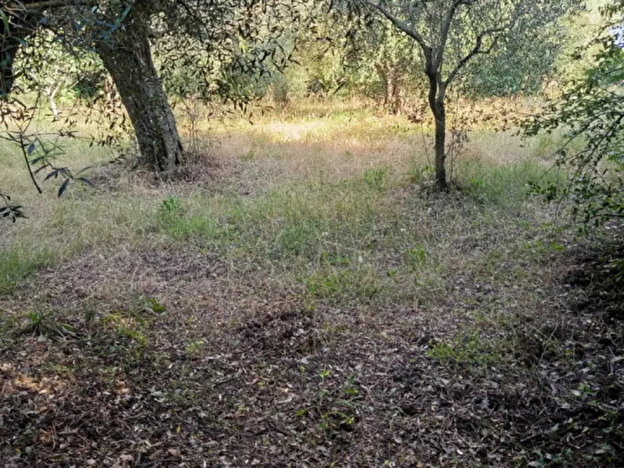 Immagine 1 di Terreno in vendita  in Via Palombarese a Palombara Sabina