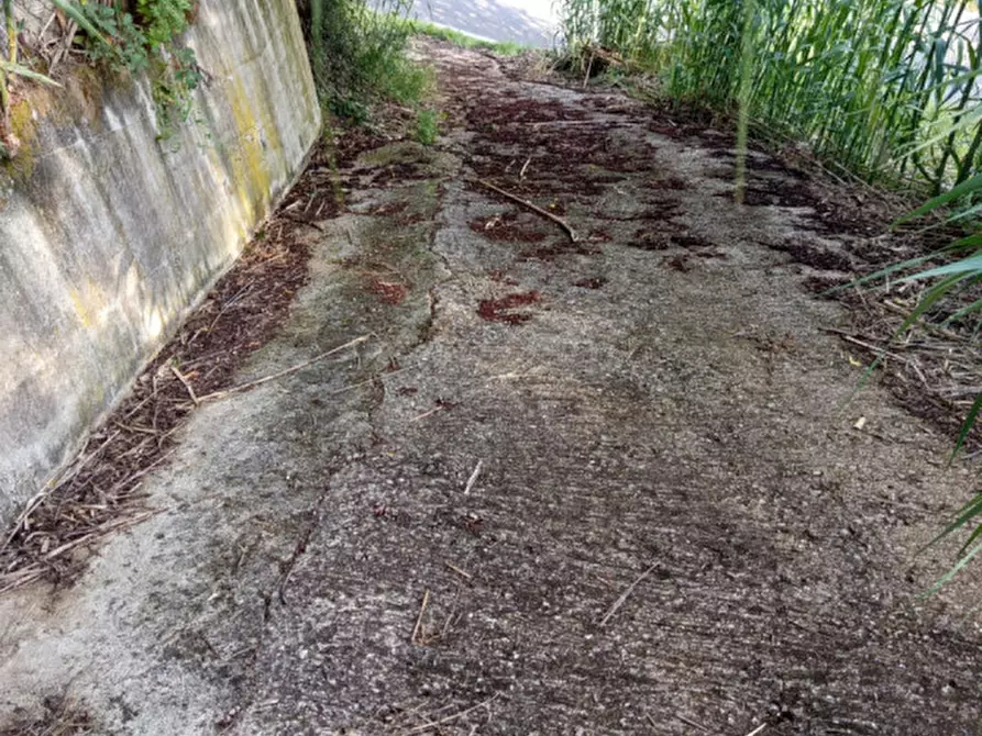 Immagine 2 di Terreno in vendita  in Via Palombarese a Palombara Sabina