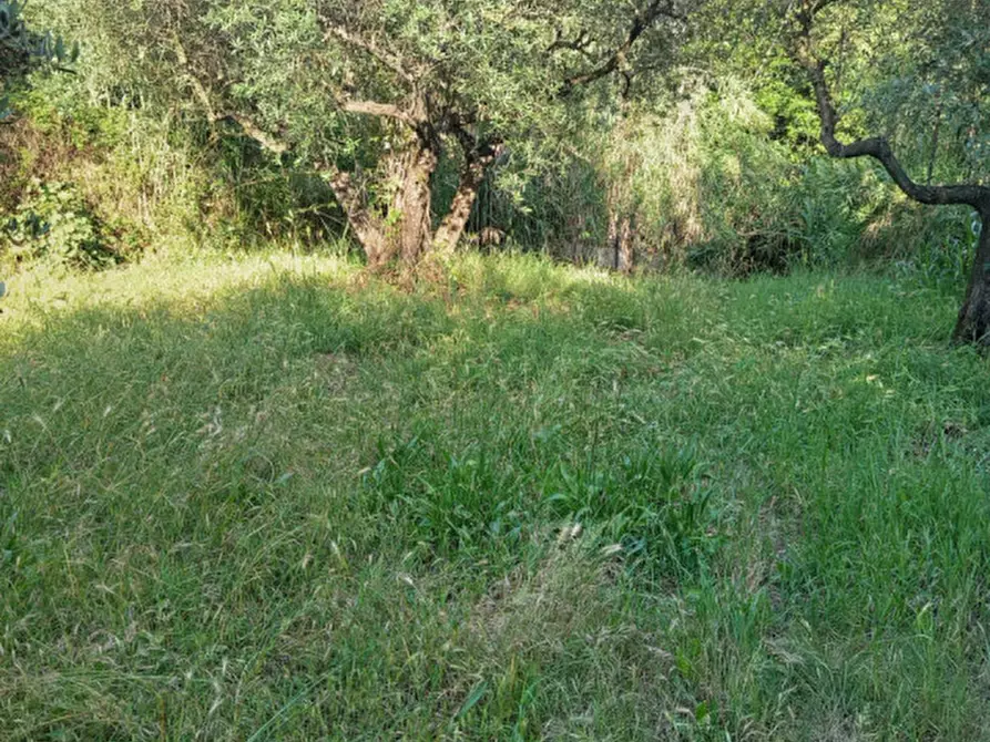 Immagine 3 di Terreno in vendita  in Via Palombarese a Palombara Sabina