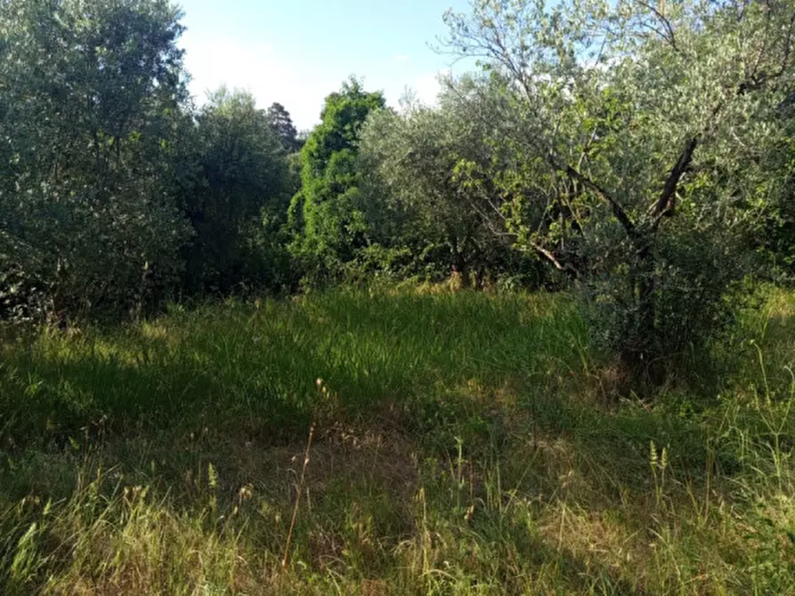 Immagine 4 di Terreno in vendita  in Via Palombarese a Palombara Sabina