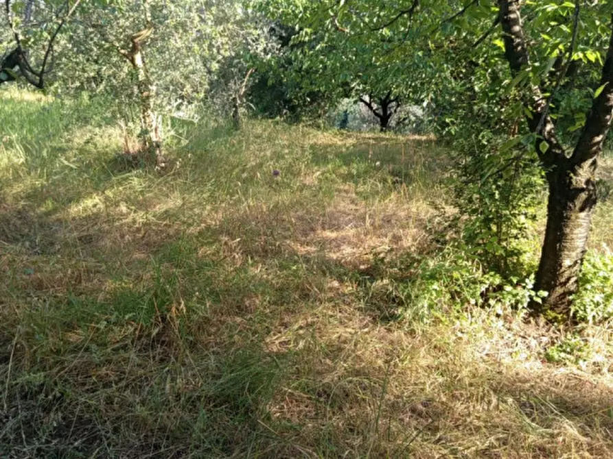 Immagine 5 di Terreno in vendita  in Via Palombarese a Palombara Sabina
