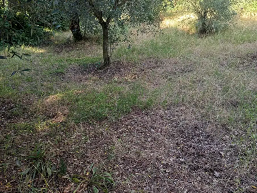 Immagine 7 di Terreno in vendita  in Via Palombarese a Palombara Sabina