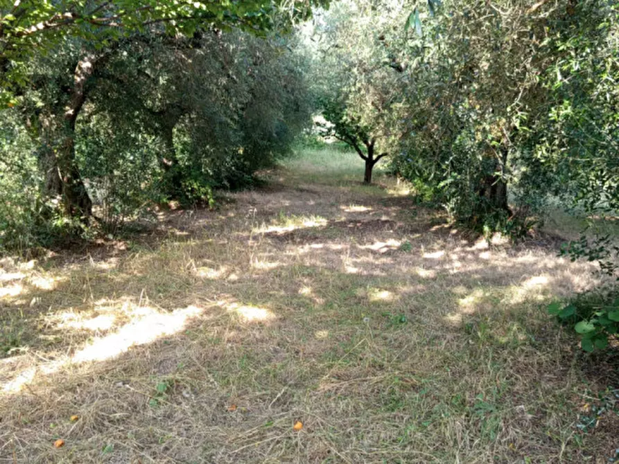 Immagine 11 di Terreno in vendita  in Via Palombarese a Palombara Sabina