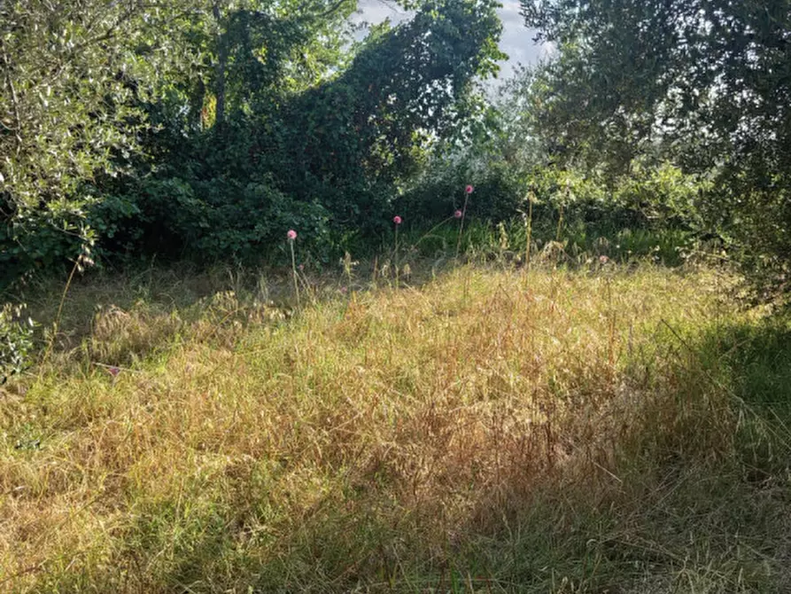 Immagine 12 di Terreno in vendita  in Via Palombarese a Palombara Sabina