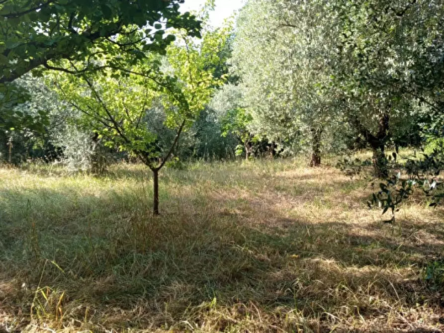 Immagine 13 di Terreno in vendita  in Via Palombarese a Palombara Sabina