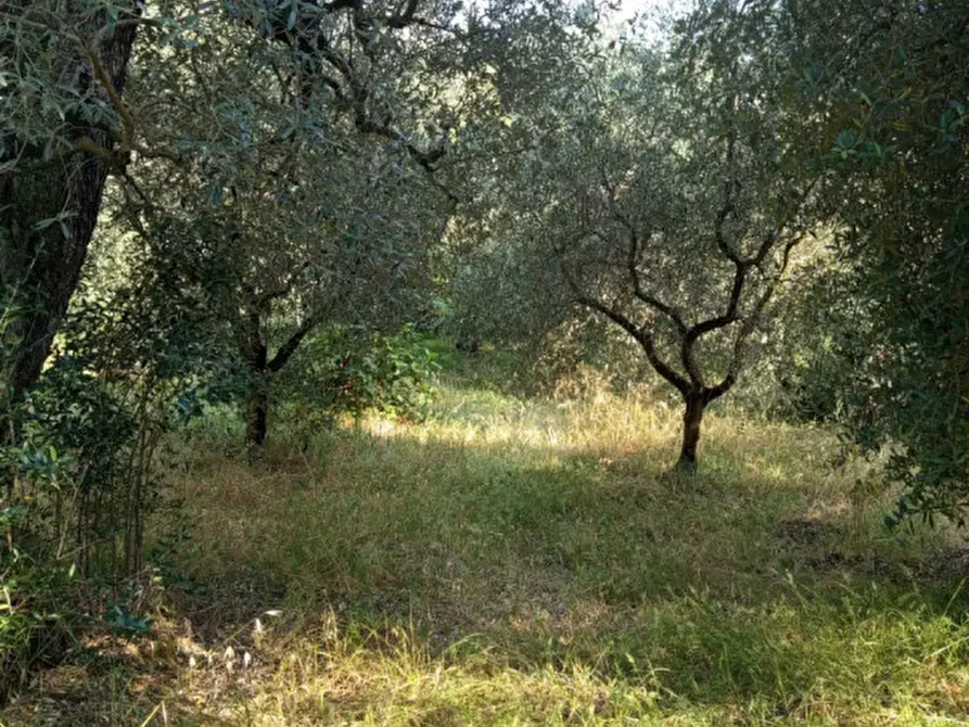 Immagine 16 di Terreno in vendita  in Via Palombarese a Palombara Sabina