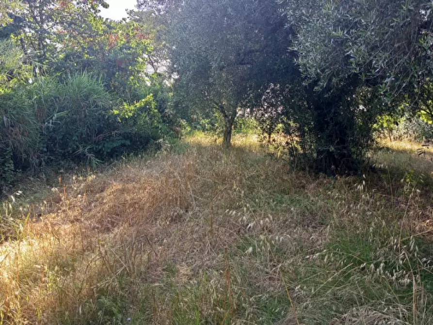Immagine 17 di Terreno in vendita  in Via Palombarese a Palombara Sabina