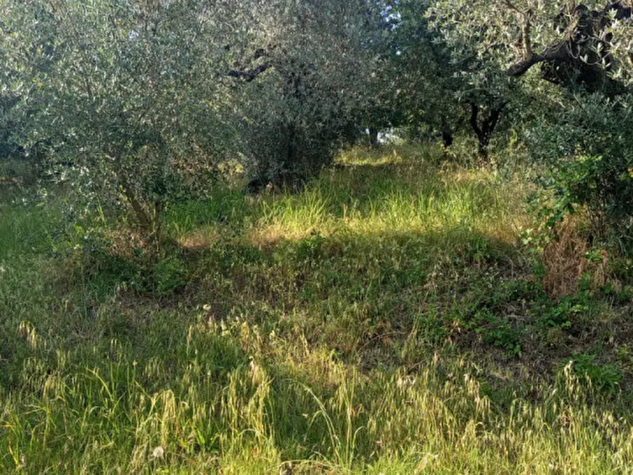 Immagine 18 di Terreno in vendita  in Via Palombarese a Palombara Sabina