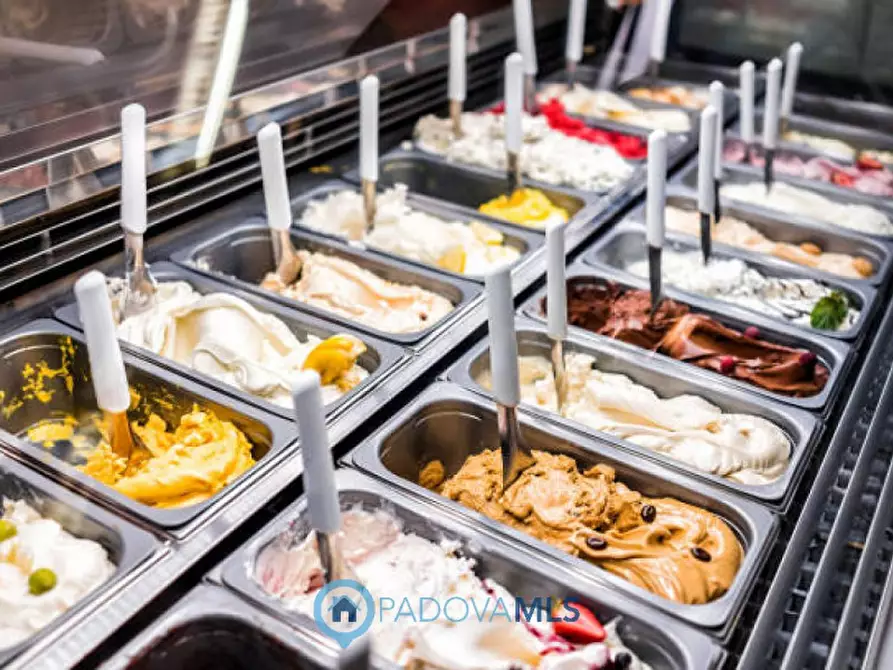 Immagine 2 di Attività commerciale in vendita  in Prato della Valle a Padova