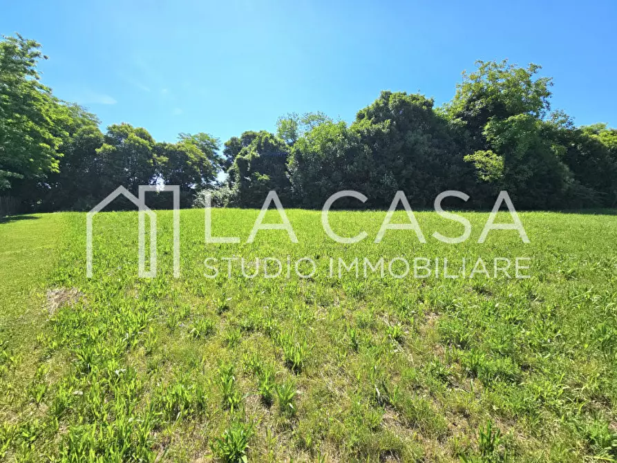 Immagine 5 di Terreno in vendita  in Piazza San Michele, 4 a San Giorgio Della Richinvelda